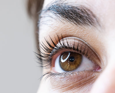 Lash Lift